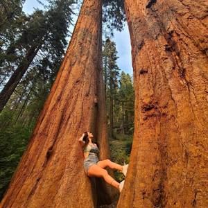 Meet your Posher, Rebecca